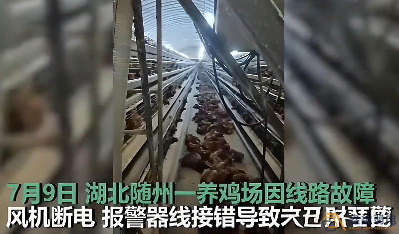 養(yǎng)雞場(chǎng)為什么要24h監(jiān)測(cè)溫濕度斷電報(bào)警器？
